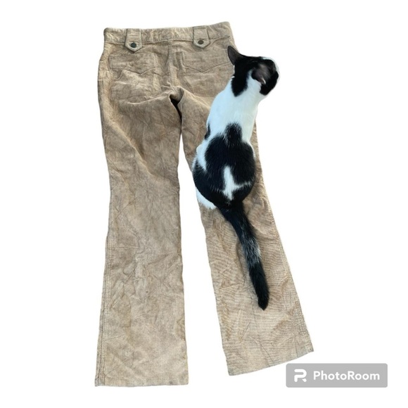 Vintage Y2K 00’s corduroy Moda tan pants approved by my cat - Picture 2 of 2